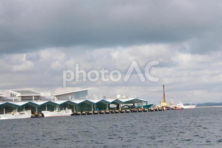 松島湾 松島湾,海,クルーズの写真素材