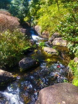 小川の写真