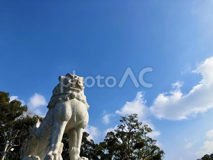 福岡県宗像大社の狛犬(向かって左側) 神社,宗像大社,辺津宮の写真素材