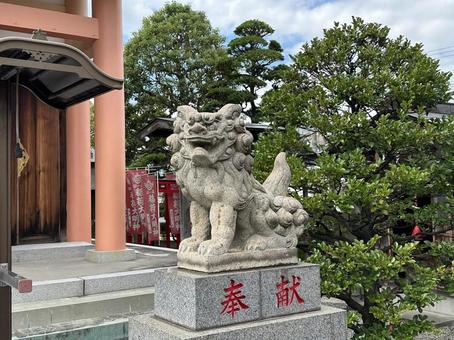 住吉神社の狛犬さん 住吉神社の狛犬さん 狛犬,石像,石の写真素材