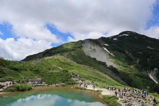 夏山|八方池 夏山|八方池の写真
