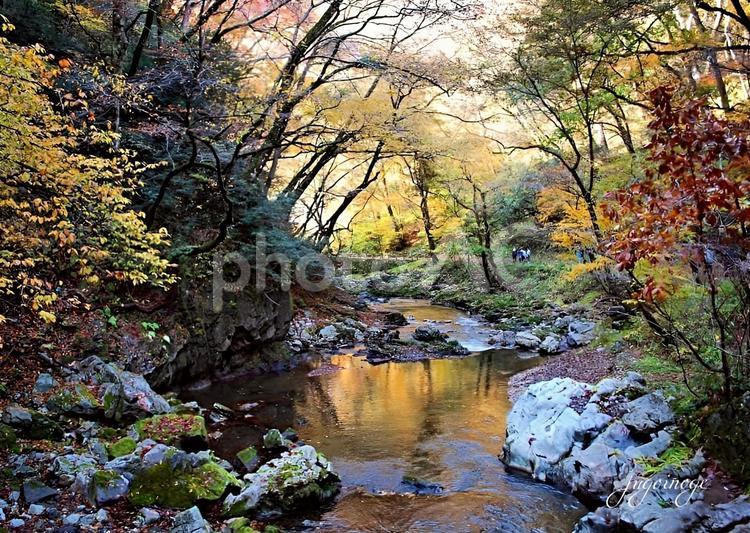 【紅葉写真】帝釈峡の風景 帝釈峡,自然,風景の写真素材