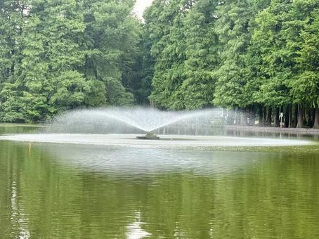 噴水 噴水の写真