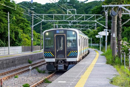 緑に囲まれた電車 緑に囲まれた電車 電車,緑,自然の写真素材