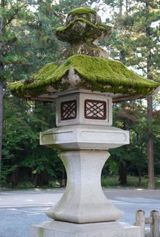 苔生した灯篭 神社,灯篭,石燈籠の写真素材