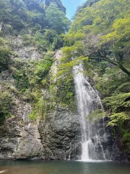 箕面大滝 箕面大滝の写真