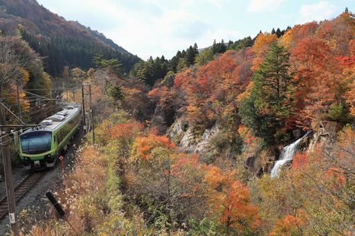 紅葉の中を走行するSATONO 面白山,紅葉,秋の写真素材