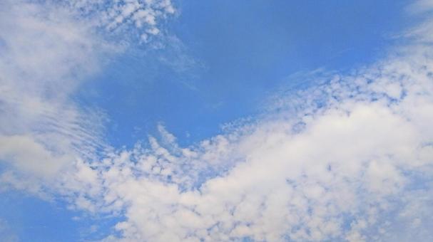 夏空 夏空,空,季節の写真素材