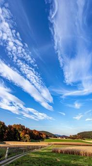澄み渡る秋の青空 うろこ雲 いわし雲 澄み渡る秋の青空 うろこ雲 いわし雲の写真