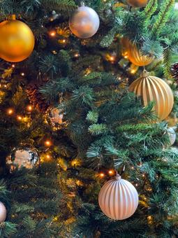 クリスマスツリー　オーナメント クリスマスツリー,オーナメント,デコレーションの写真素材