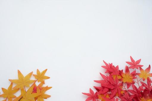 秋の紅葉イメージ 秋の紅葉イメージの写真