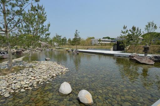二子玉川公園の帰真園の池 二子玉川公園の帰真園の池 二子玉川公園,公園,日本庭園の写真素材