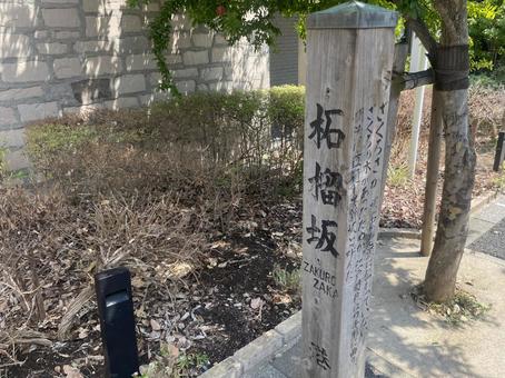 港区の柘榴坂 柘榴坂,坂道,坂の写真素材