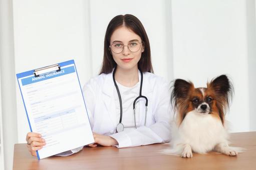 ペットとカルテを見せる女性スタッフ 医療,予防,医者の写真素材