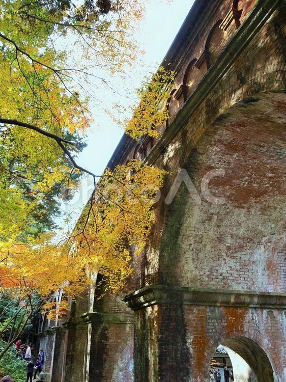 京都の秋、南禅寺の水路閣 京都,秋,京都市の写真素材