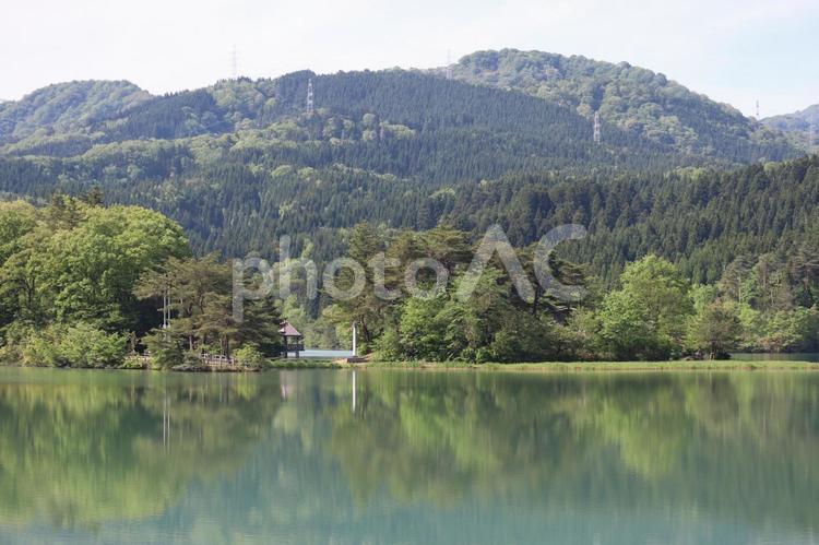 池と木々の森の公園と山並みの見える風景 池,木々,森の写真素材