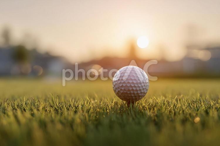 ティーショットを待つゴルフボールと夕日 ゴルフ,ゴルフボール,ゴルフコースの写真素材
