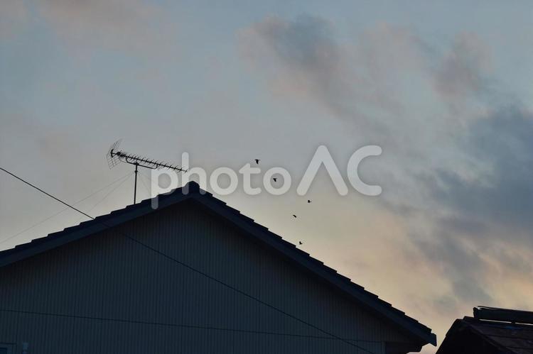 夕暮れの空 夕暮れ,空,夕焼けの写真素材