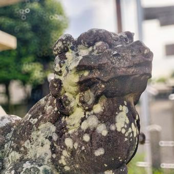 友呂岐神社の狛犬(大阪府寝屋川市) 友呂岐神社の狛犬(大阪府寝屋川市)の写真