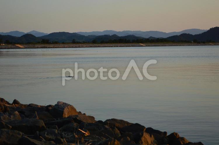 風景　夕暮れの湖 背景,夕暮れ,湖の写真素材