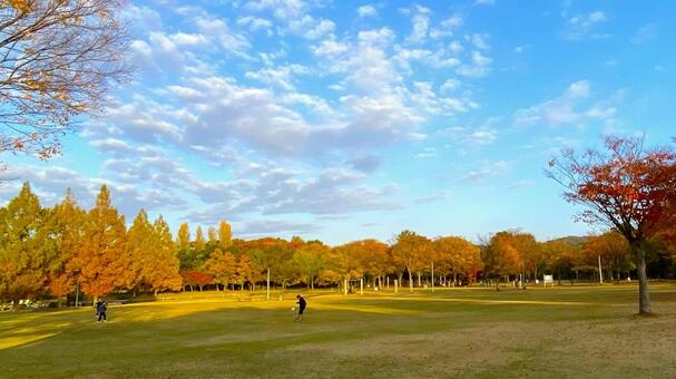 紅葉の北部公園（金沢） 紅葉,秋,公園の写真素材