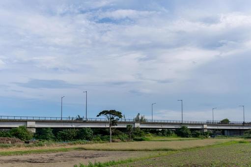 相生橋 相生橋の写真