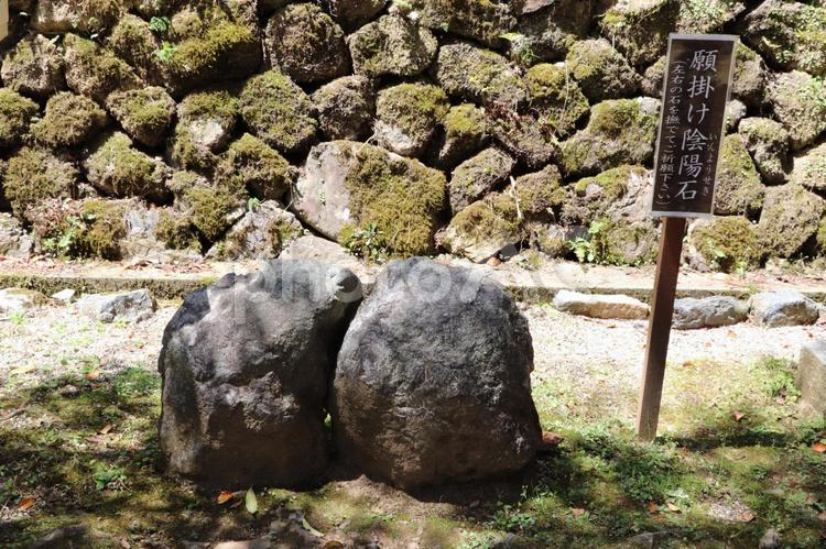 松尾大社　摂社月読神社　願掛け陰陽石 月読神社,願掛け陰陽石,松尾大社の写真素材