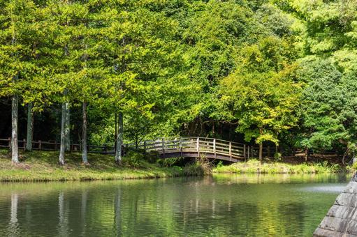 公園の風景⑺ 公園の風景⑺ 公園,木々,緑の写真素材