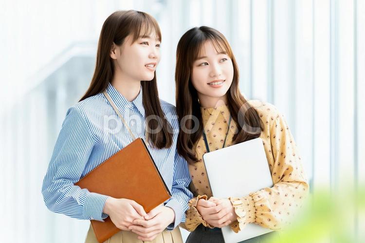 仲のいい2人の女性・ビジネスウーマン 女性,笑顔,ビジネスの写真素材