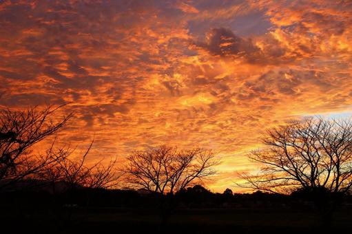 糸島の素晴らしい夕焼け#02 糸島市,夕焼け,茜色の写真素材