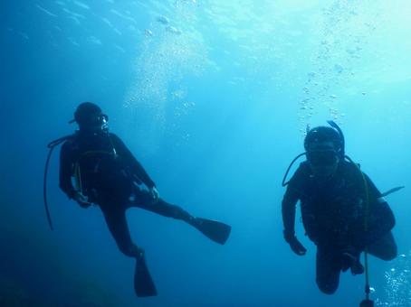 ダイビングの写真