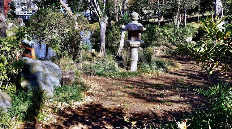 千葉県市原市の秋の飯香岡八幡宮の中庭 飯香岡八幡宮,中庭,千葉の写真素材