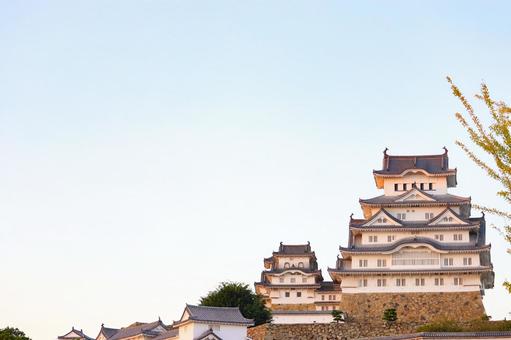 夕方の姫路城 夕方の姫路城 姫路城,姫路市,兵庫県の写真素材