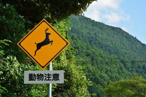 シカ飛び出し注意の看板 シカ飛び出し注意の看板 道路標識,シカ,鹿の写真素材