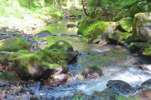 小川 小川の写真