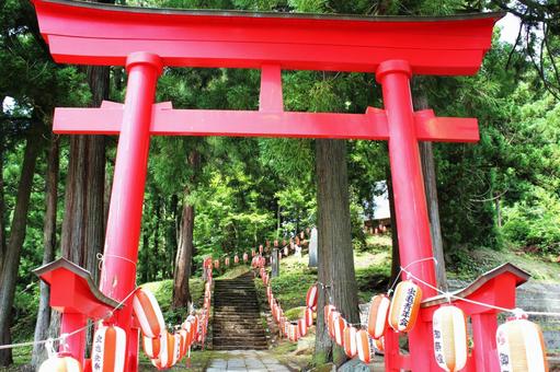 新潟山古志虫亀　諏訪神社 木,木々,晴れの写真素材