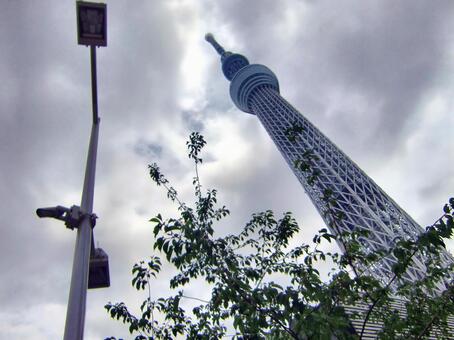 曇り日の東京スカイツリー-138 東京スカイツリー,曇り日,雲の写真素材