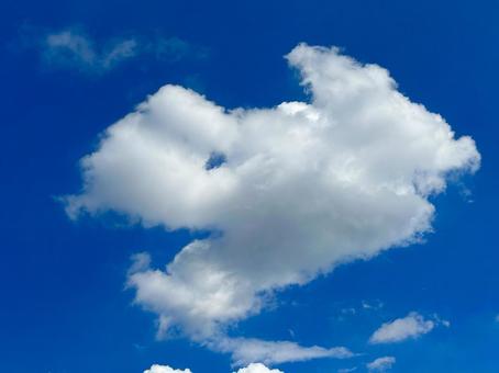 犬か怪獣か?青空に不思議な雲を発見(横 犬か怪獣か?青空に不思議な雲を発見(横の写真
