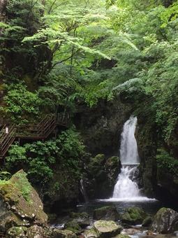 飛騨の滝の写真