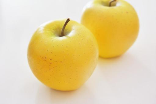 テーブル上のシナノゴールド二個 シナノゴールド,りんご,黄色の写真素材