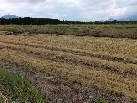 稲刈り後の田んぼ01 稲刈り後,田んぼ,収穫後の写真素材