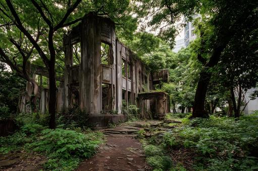 廃墟、廃屋のイメージ 廃墟、廃屋のイメージの写真