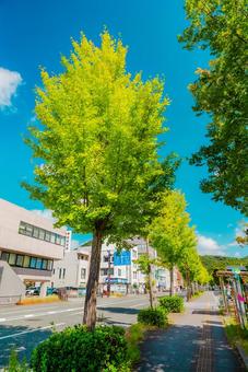 【鳥取】鳥取駅の周辺 鳥取駅,駅前,街並みの写真素材