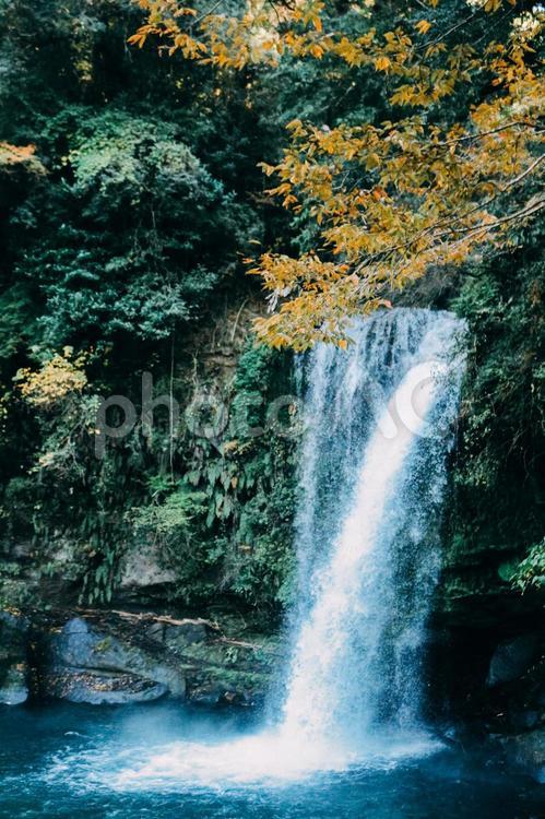流れ落ちる滝と紅葉の風景 滝,紅葉,銀杏の写真素材
