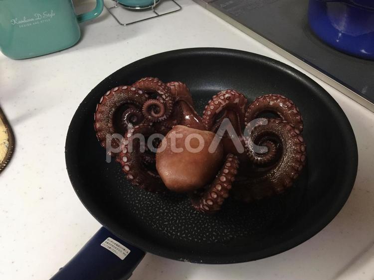 まるごと茹でたタコ キッチン,タコ,フライパンの写真素材