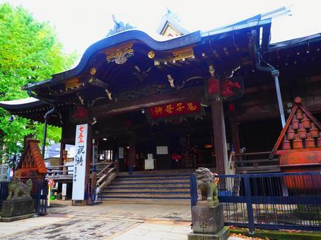 雑司ヶ谷鬼子母神　鬼子母神堂 雑司ヶ谷,鬼子母神,公孫樹の写真素材