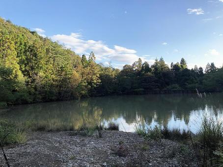 秋の水辺 秋の水辺 湖,自然,木々の写真素材