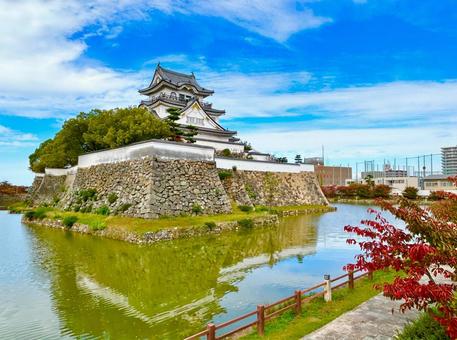 岸和田城 大阪,大阪府,岸和田の写真素材
