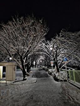 雪景色 雪景色の写真