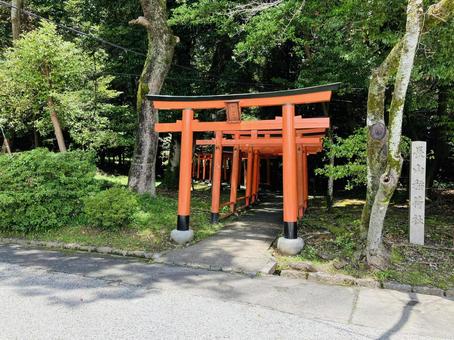 Photo, kashihara shrine, kashihara city, nara prefecture, a shrine, 